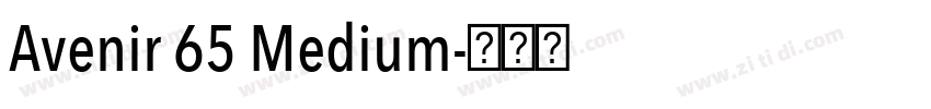 Avenir 65 Medium字体转换